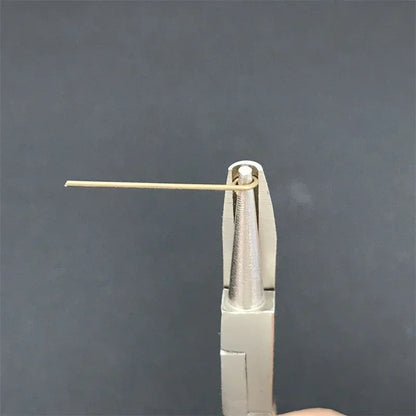 S2c3f0b07b7de4fd0ae87e6dc54c829a2B