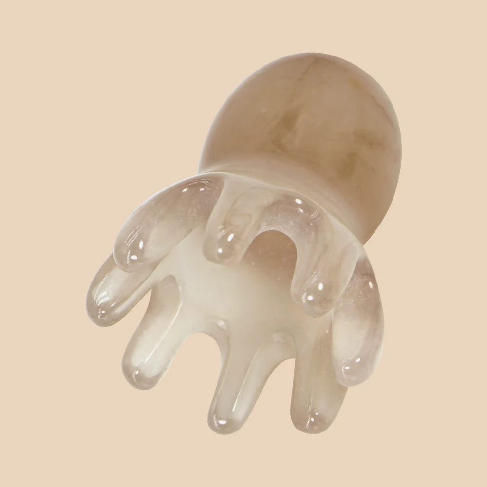 S3dc8169939bf4f97bf8c3f5fa0e57c3dd